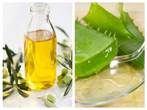mặt nạ nha đam dầu oliu